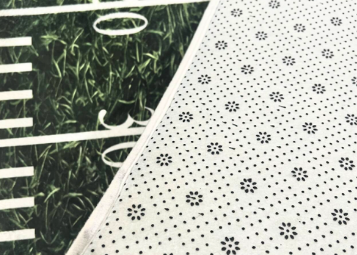 dreamrooma crystal velvet rug